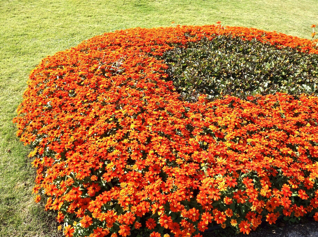 Yamaguchi Flower Land-柳井市必去景点