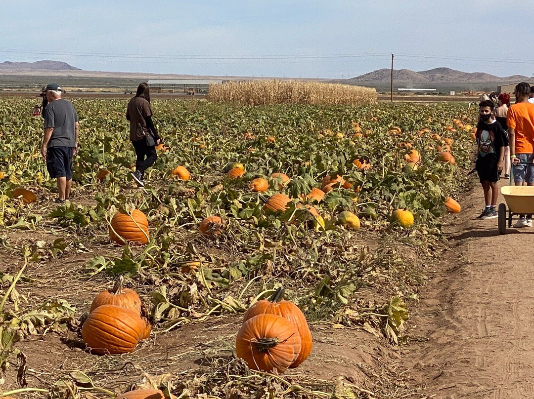Apple Annie's Orchard-Willcox必去景点