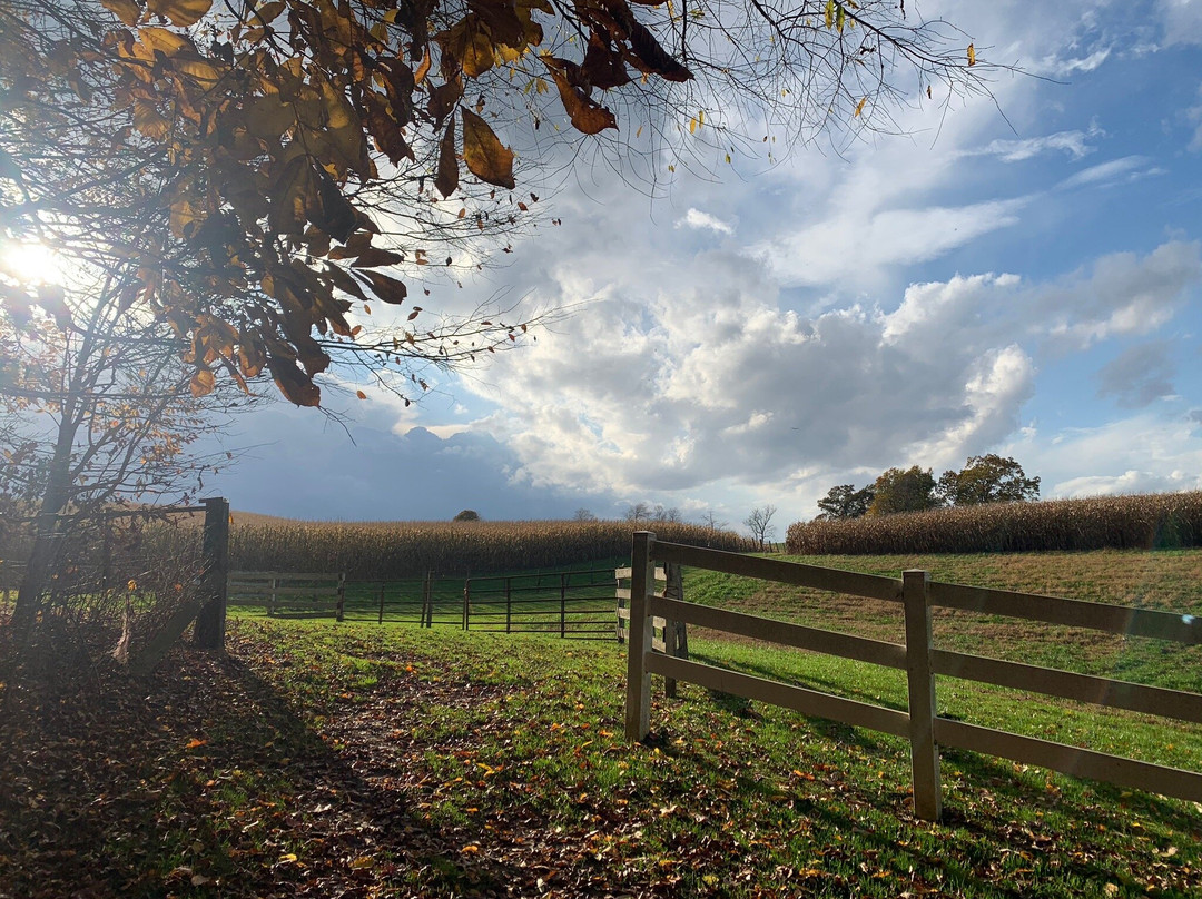 Charm CountryView Inn主图