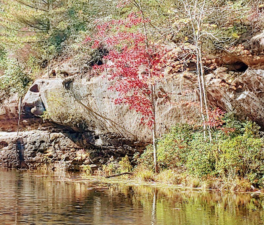 Pickett CCC Memorial State Park景点图片