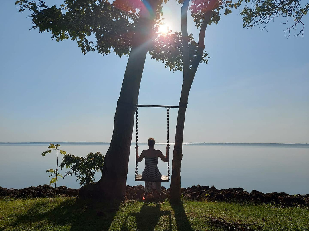 Orchids Village主图