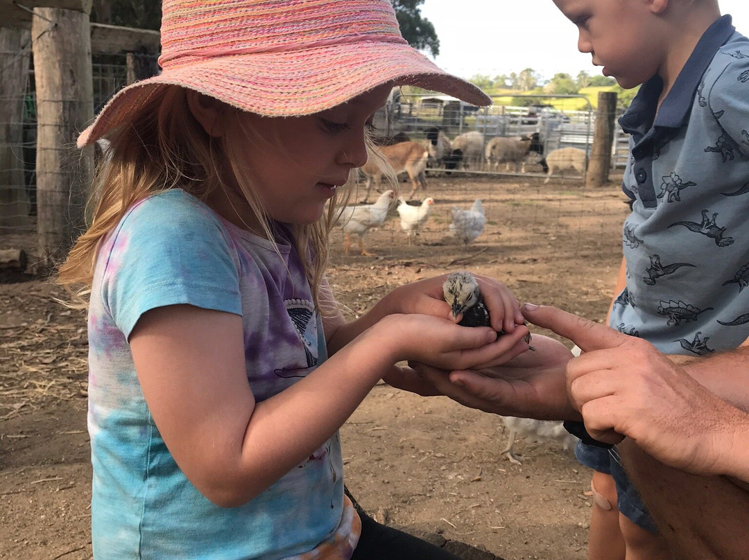 Historic Village Herberton-Herberton必去景点