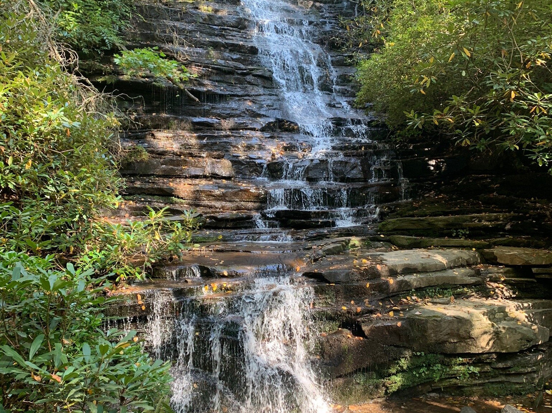 Angel Falls Trail景点图片