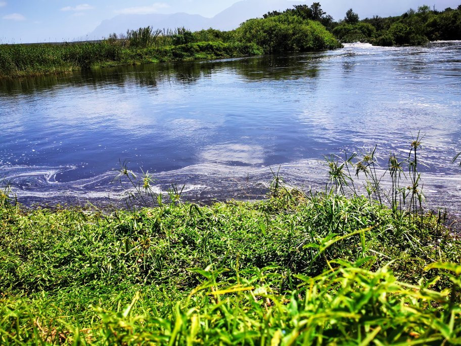 Bontebok National Park-斯韦伦丹必去景点
