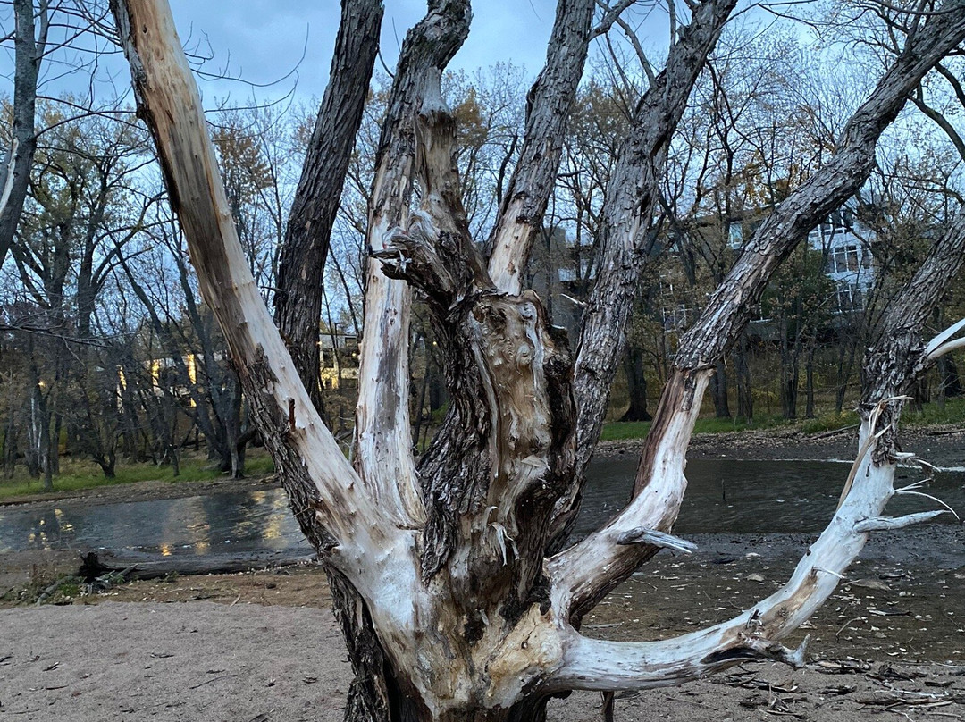 Lakefront Park-Hudson必去景点
