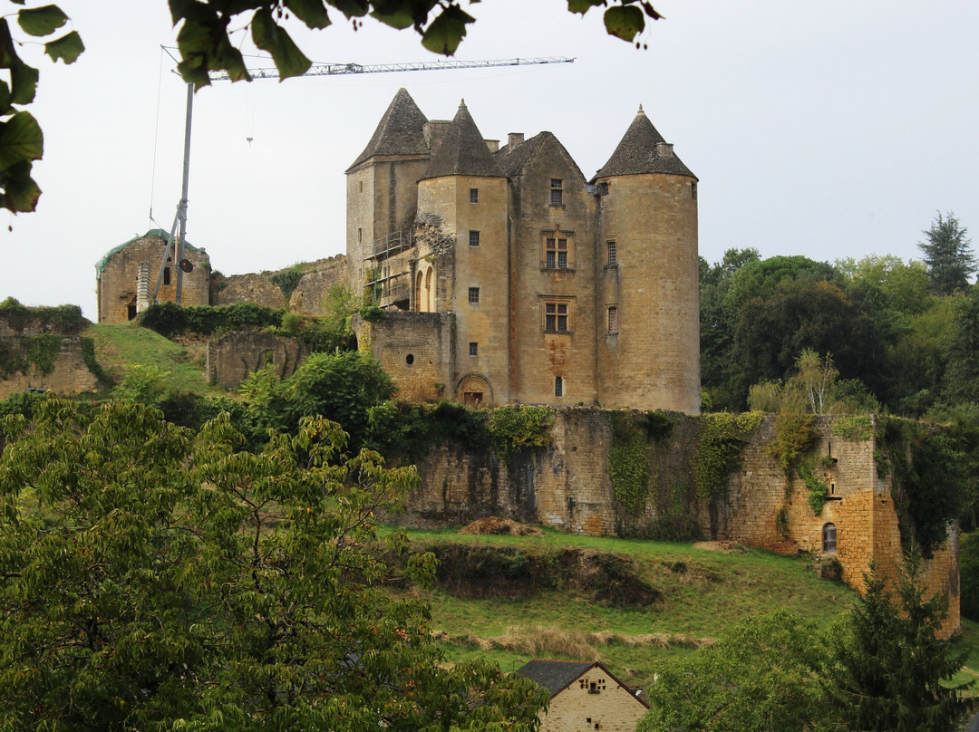 Château de Salignac景点图片