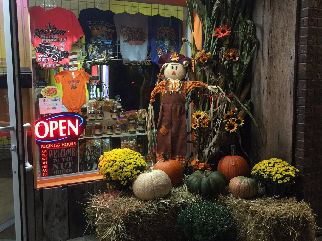 Try My Nuts Company-皮金福奇必去景点