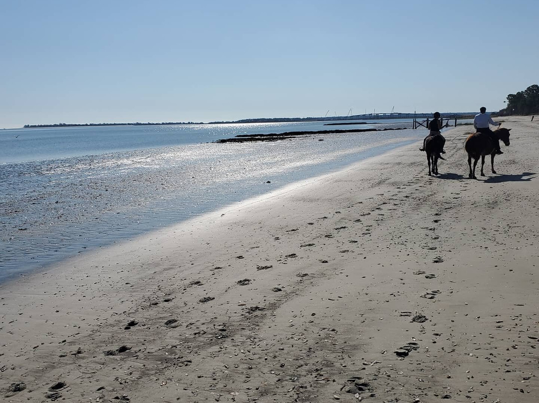 Camelot Farms Equestian Center-Saint Helena Island必去景点