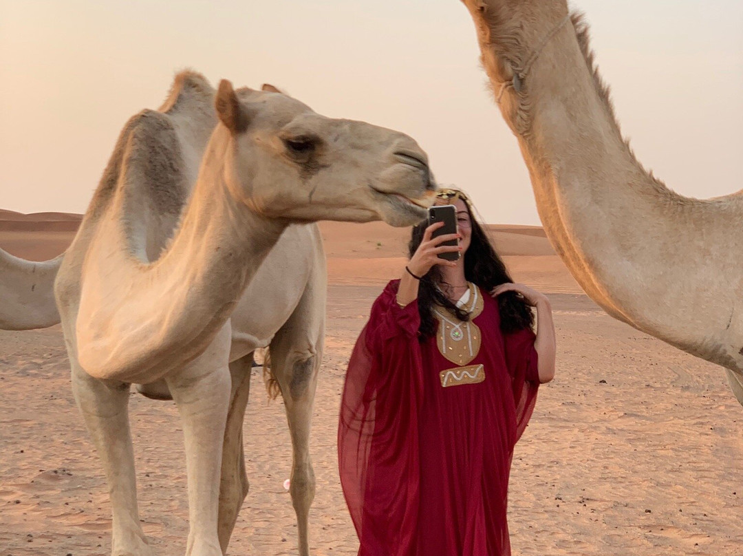 Trawey Tourism LLC-迪拜必去景点