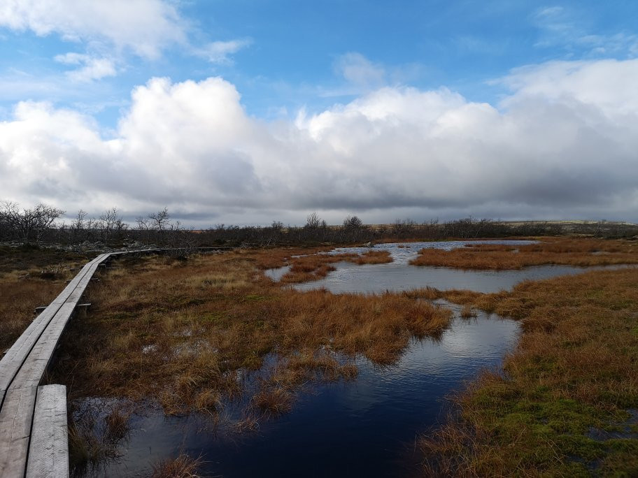 Fulufjällets National Park-Sarna必去景点