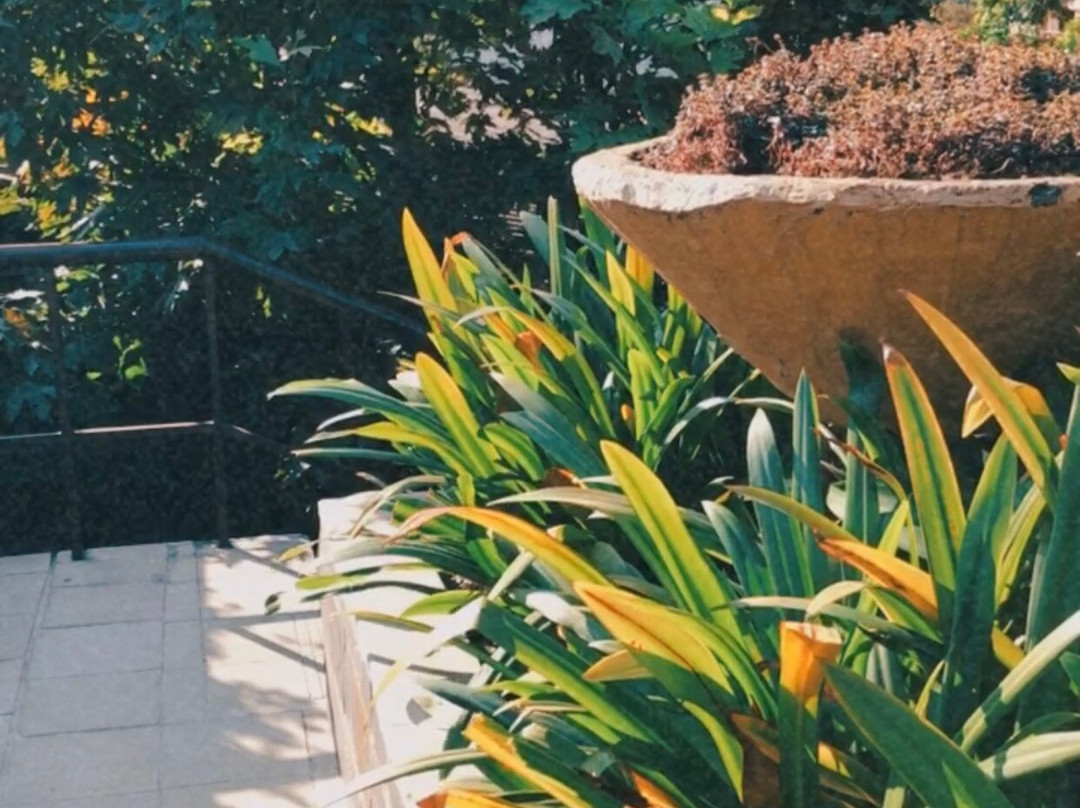 Aloha On The Ganges主图