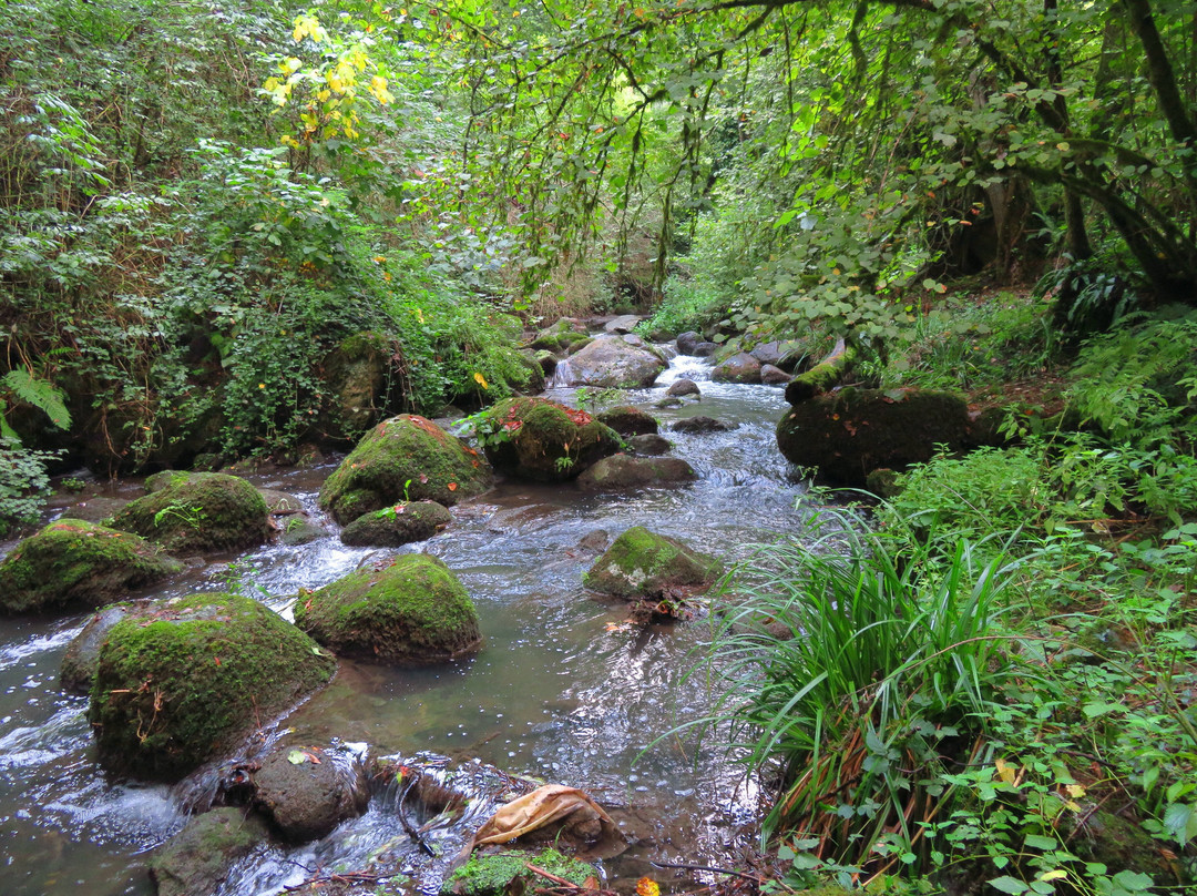 Cascata del Picchio-Nepi必去景点