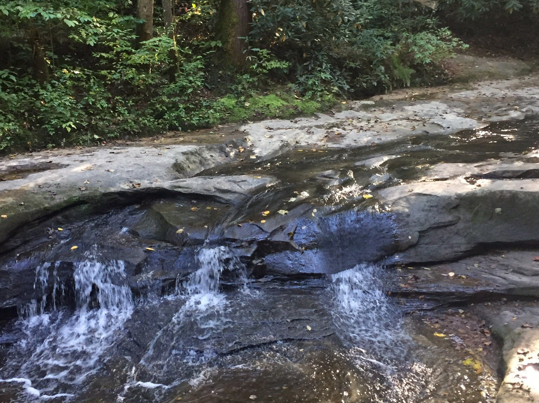 Rock Bridge Trail #207景点图片