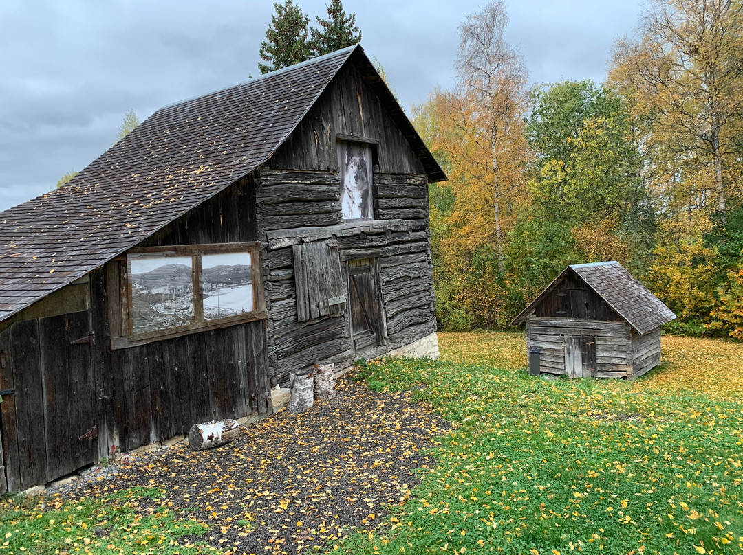 Norwegian Emigrant Museum景点图片