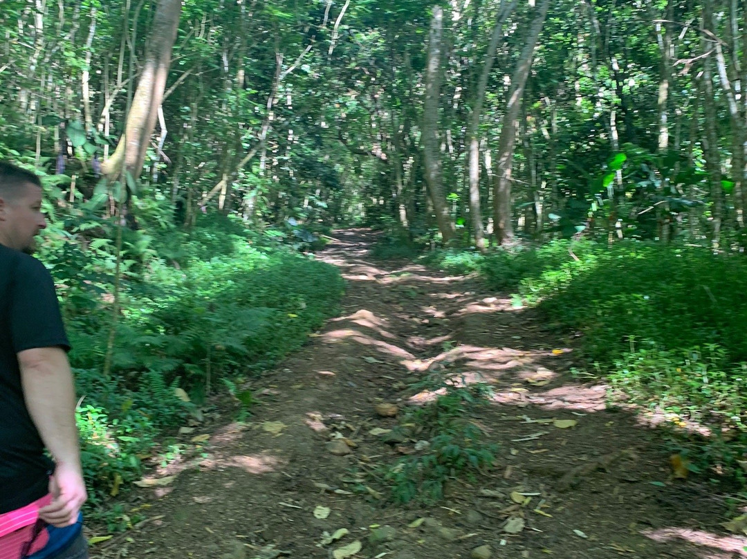 Afareaitu Waterfalls-Afareaitu必去景点
