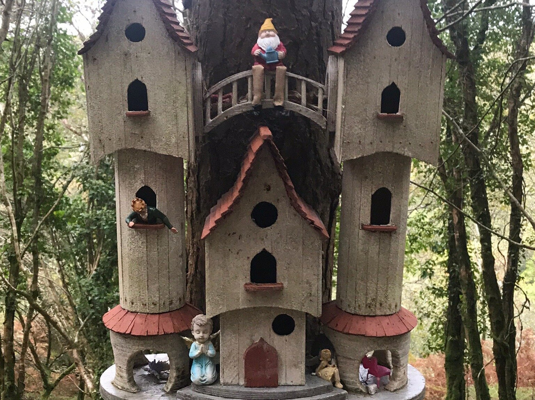 Glenbeigh Fairy Forest-Glenbeigh必去景点