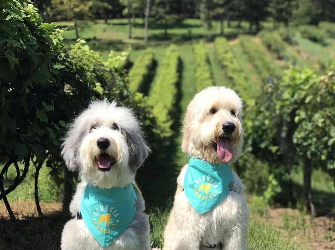 Engelheim Vineyards-Ellijay必去景点