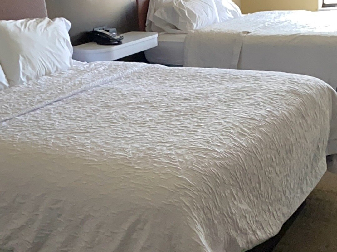 拉勒米希尔顿恒庭酒店主图