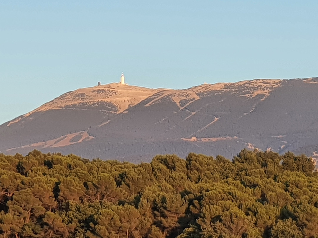 Faucon旅游攻略图片