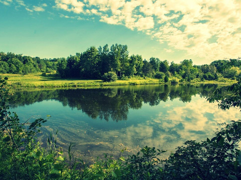 Mount Alverno Luxury Resorts主图