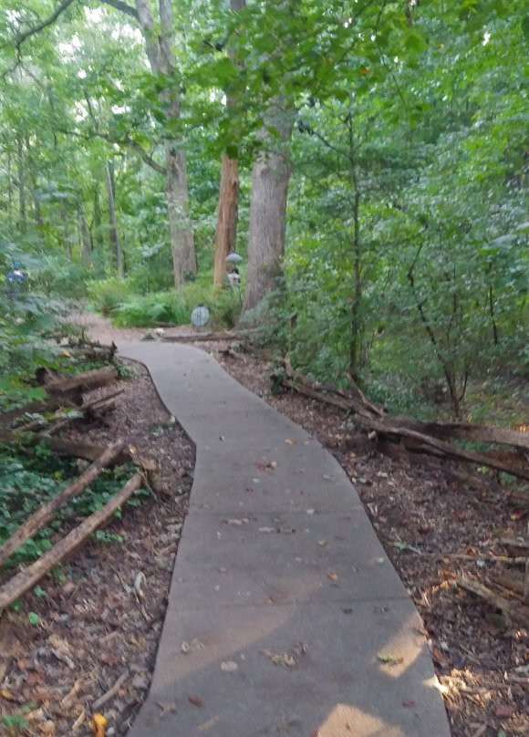 Big Trees Forest Preserve-桑迪斯普林斯必去景点