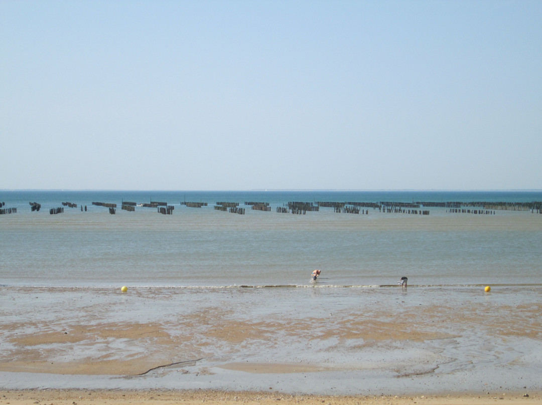 Plage des Belugas景点图片