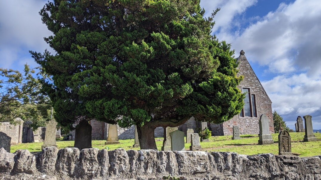 Abernyte Parish Church景点图片