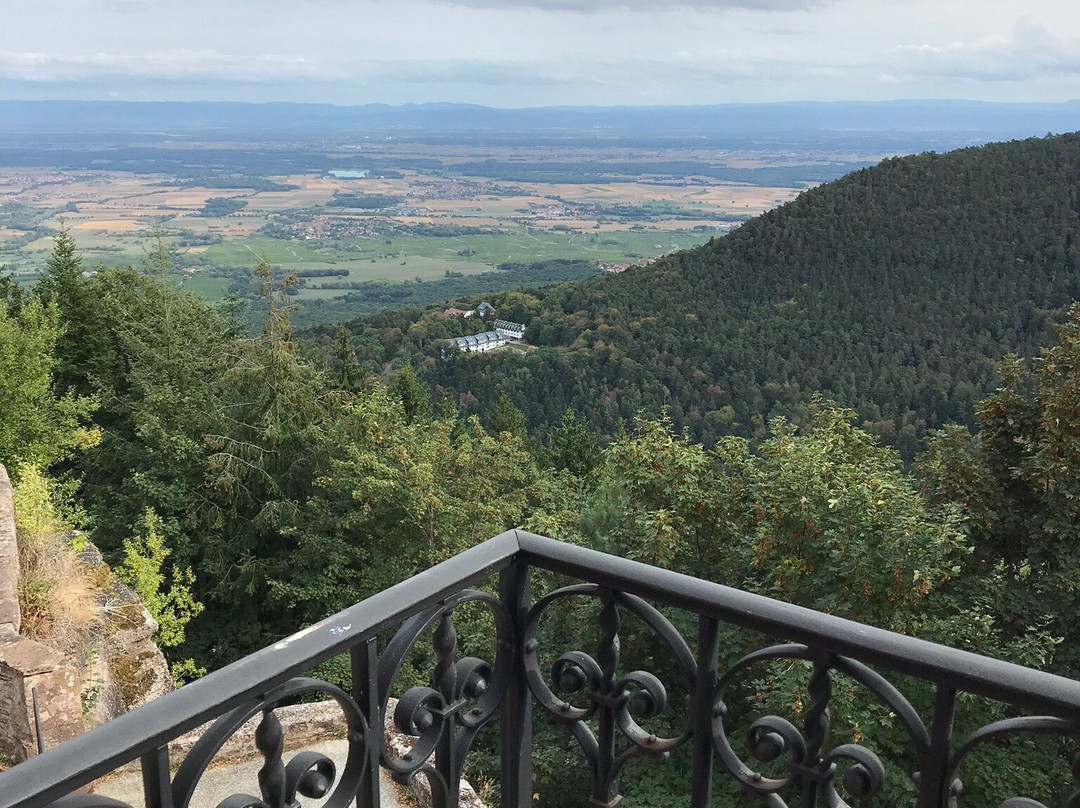 Hostellerie Du Mont Sainte-Odile主图
