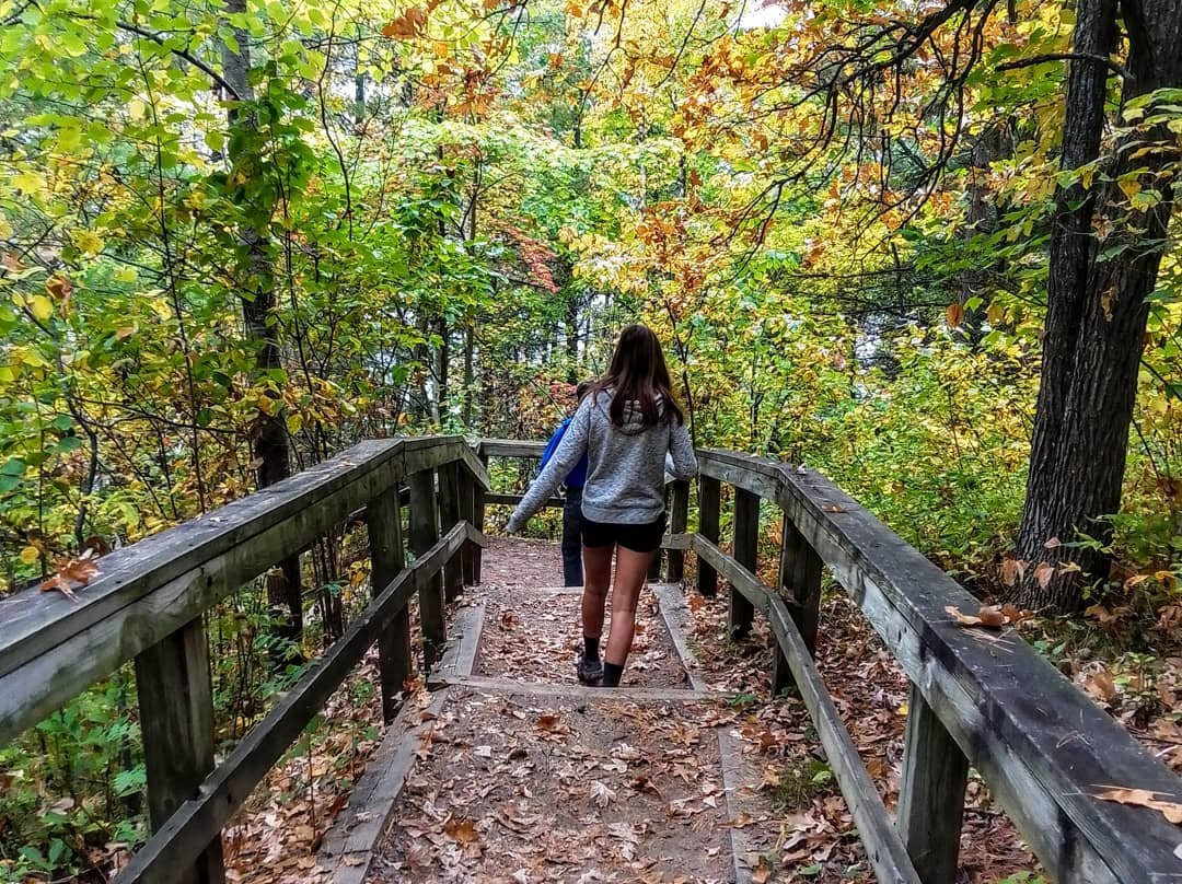 Wilderness Drive-Lake Itasca必去景点