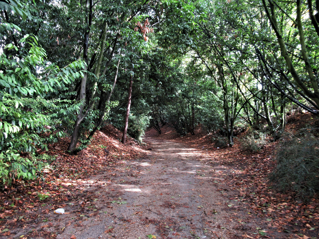 Fort de Stains-Garges-les-Gonesse必去景点
