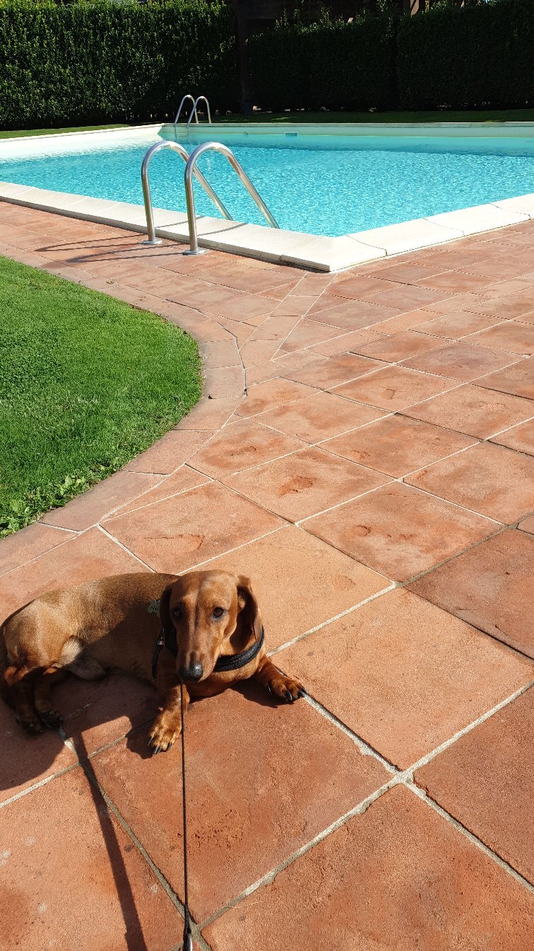 Antica Pieve B&B-官方
