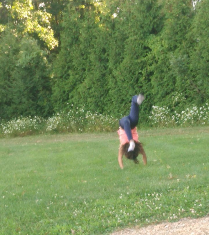 Sofios Park-Norwalk必去景点