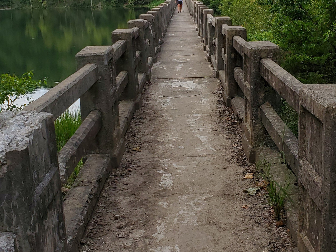 Lake Leatherwood-尤里卡斯普林斯必去景点