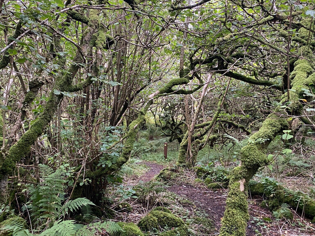 RSPB Loch Gruinart Reserve-Bridgend必去景点