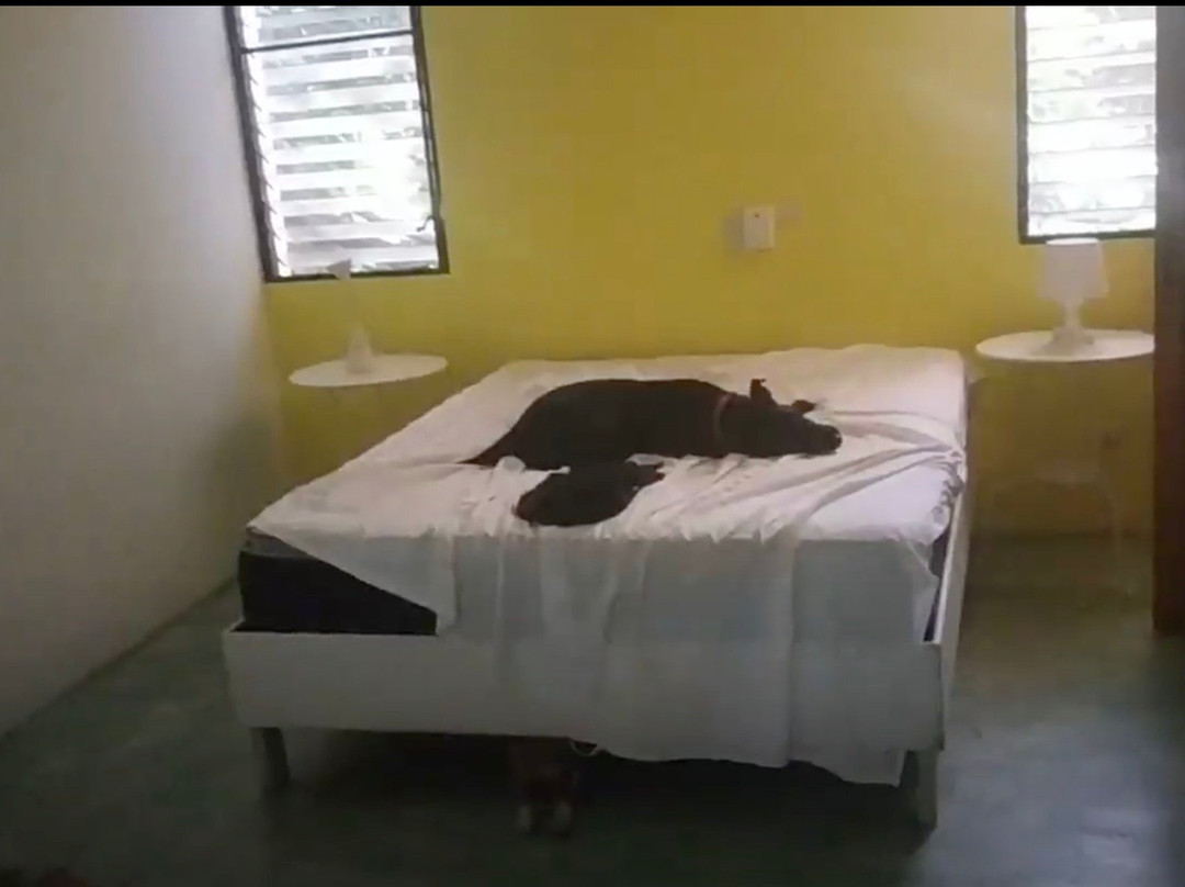 Cabarete Surfcamp主图