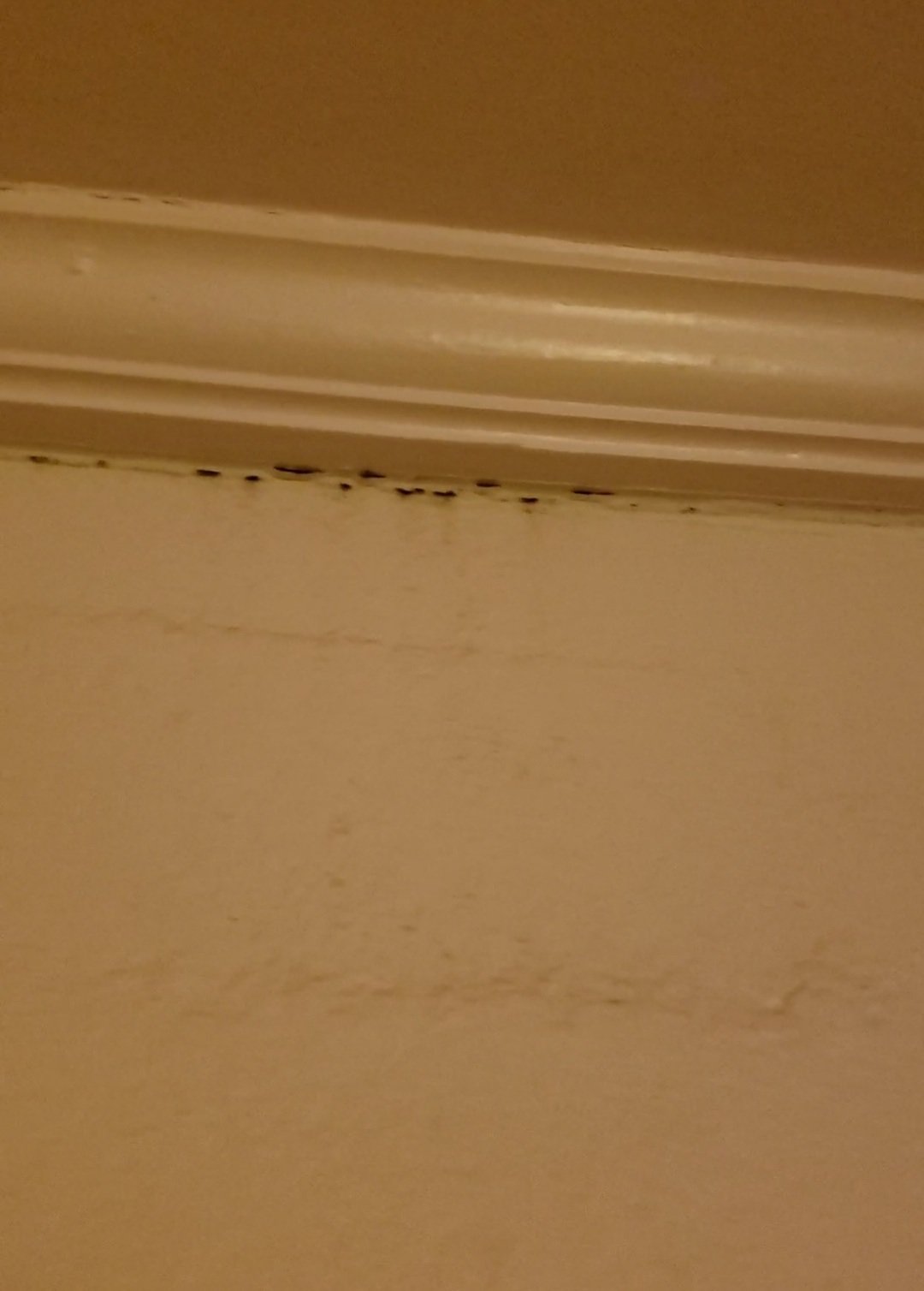 Emerald Inn Blythe-官方