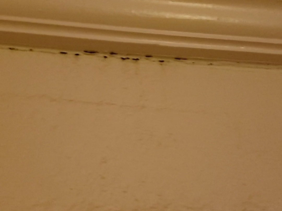 Emerald Inn Blythe主图