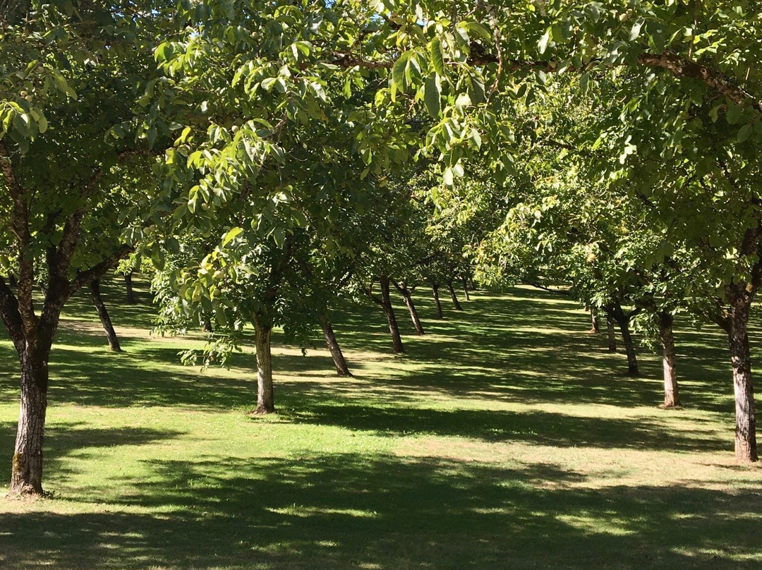 Ecomusée de la Noix-Castelnaud-la-Chapelle必去景点