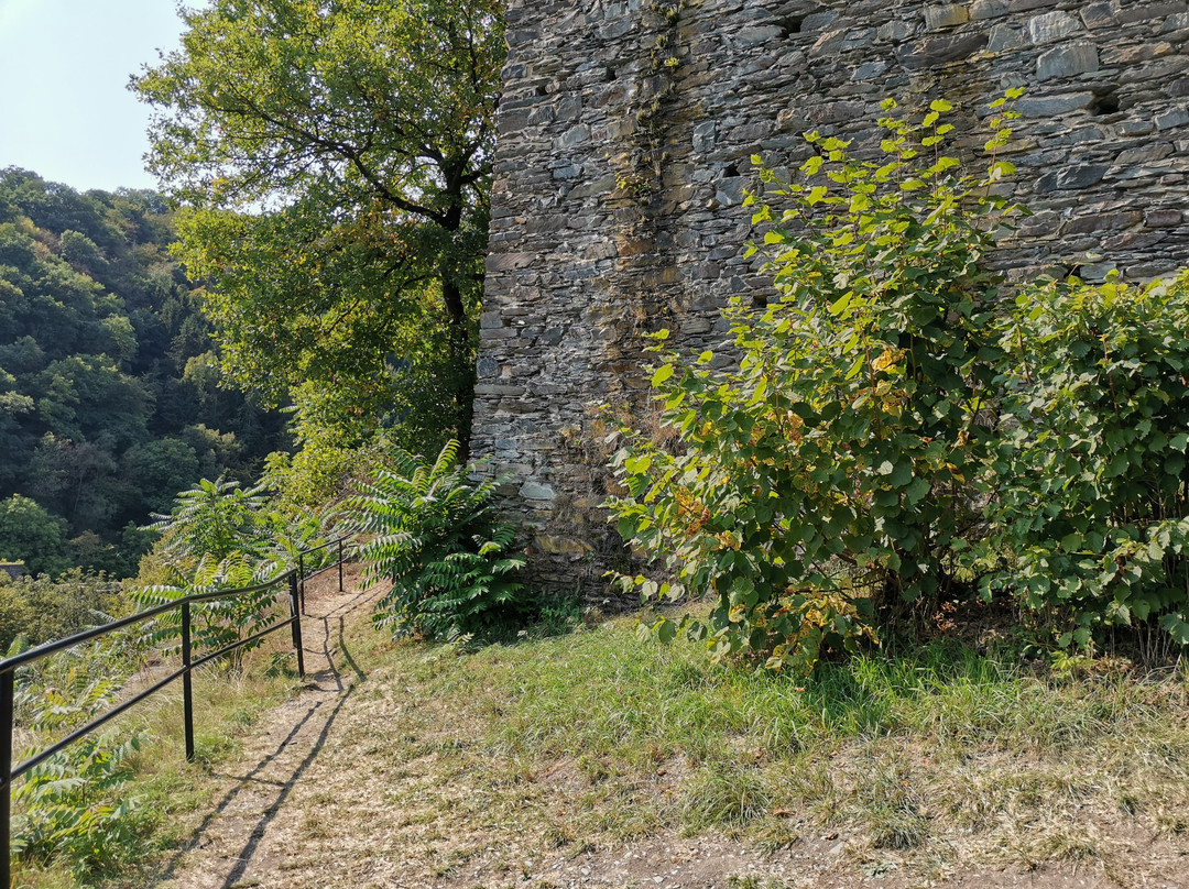 Burg Altwied景点图片