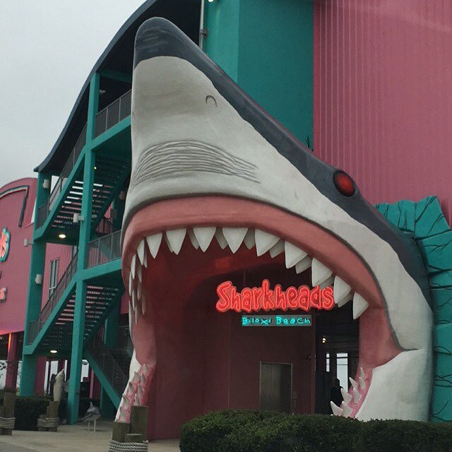 Sharkheads景点图片