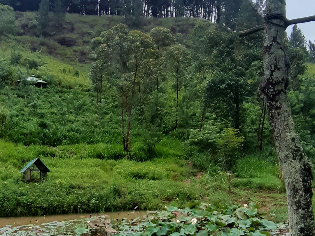 Rockbourne Bungalow主图