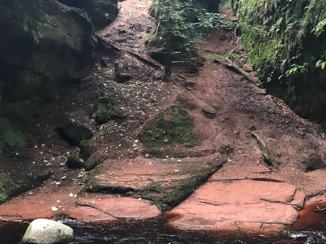 Finnich Glen-格拉斯哥必去景点