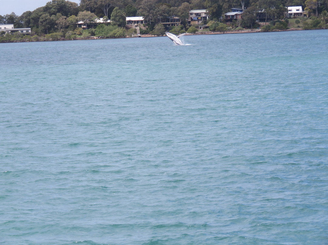 Brisbane Cruises-布里斯班必去景点