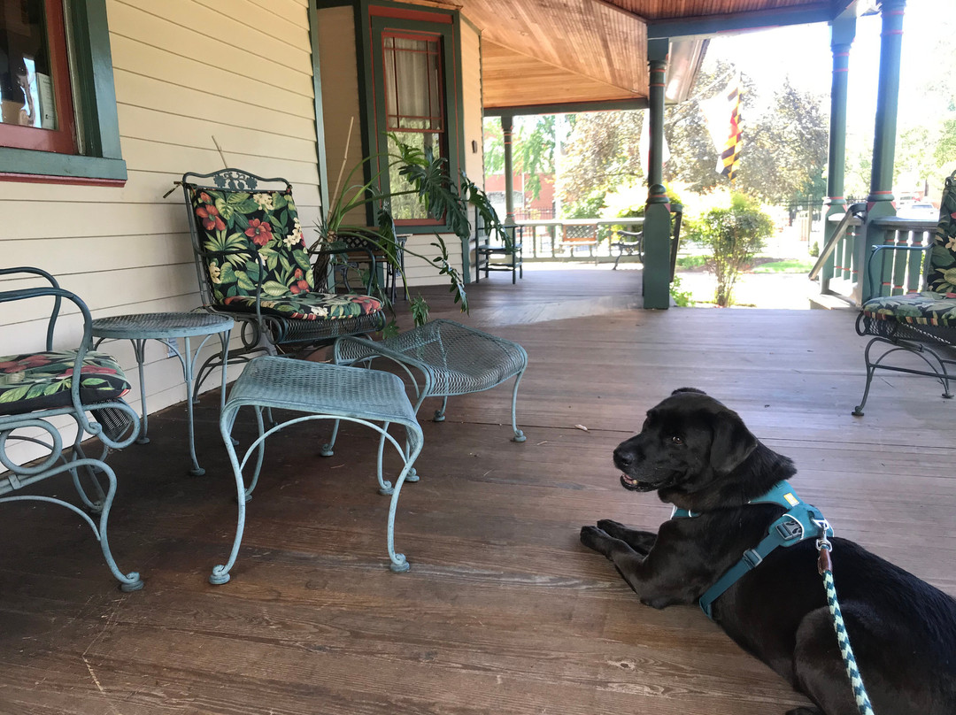 Hummingbird Inn主图