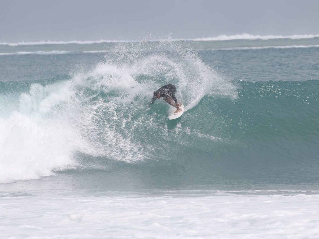 Macaronis Resort主图