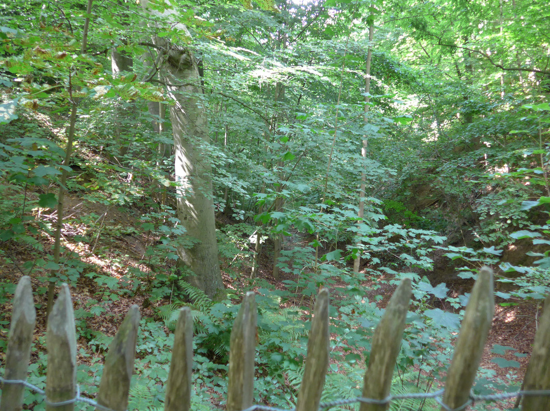 Parc de Wolvendael-于克勒必去景点