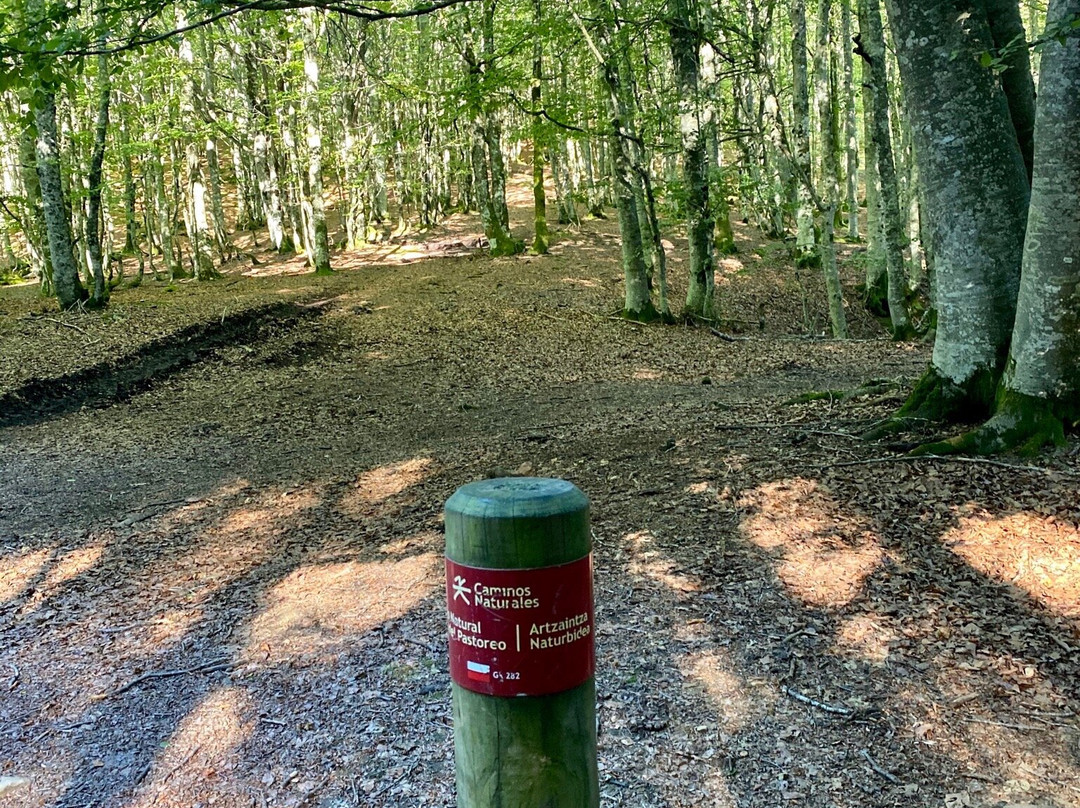 Aizkorri-Aratz Natural Park景点图片