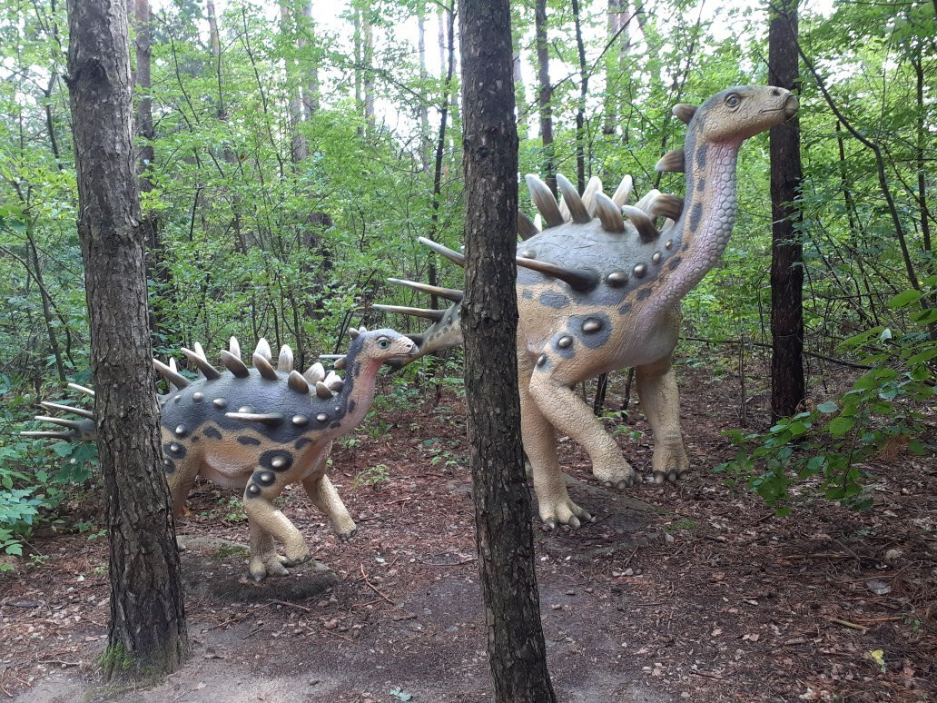 Jurajski Park Dinozaurów Muzeum Dziejów Ziemi景点图片