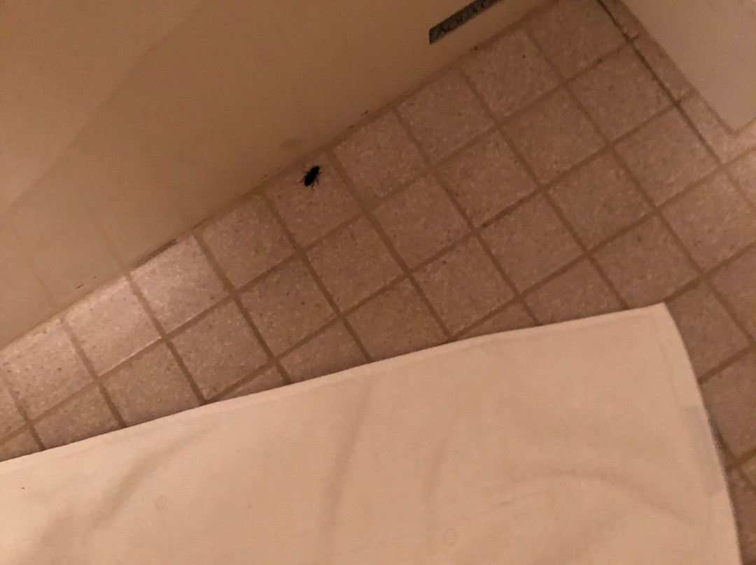 The Bethel Resort & Suites主图