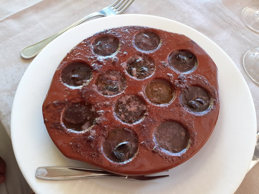 Le Grand Chêne de Sillans主图